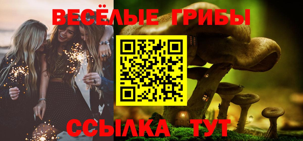 Псилоцибиновые грибы мухоморы Рязань